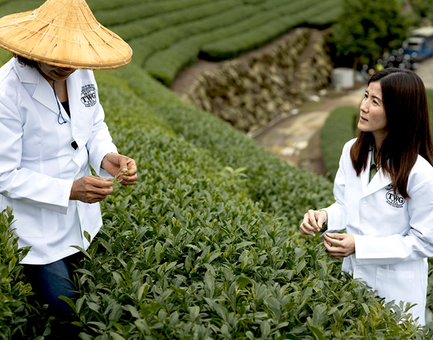 A Travelogue: ABOVE THE CLOUDS OF ALISHAN