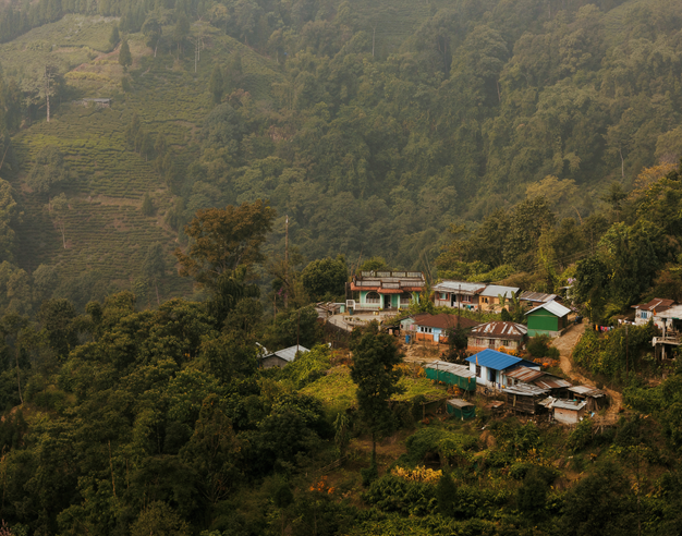 Watch the Film: Darjeeling