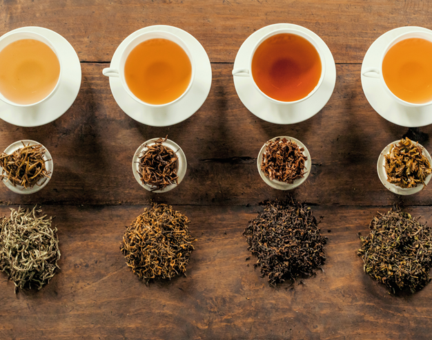SEASONS OF TEA
