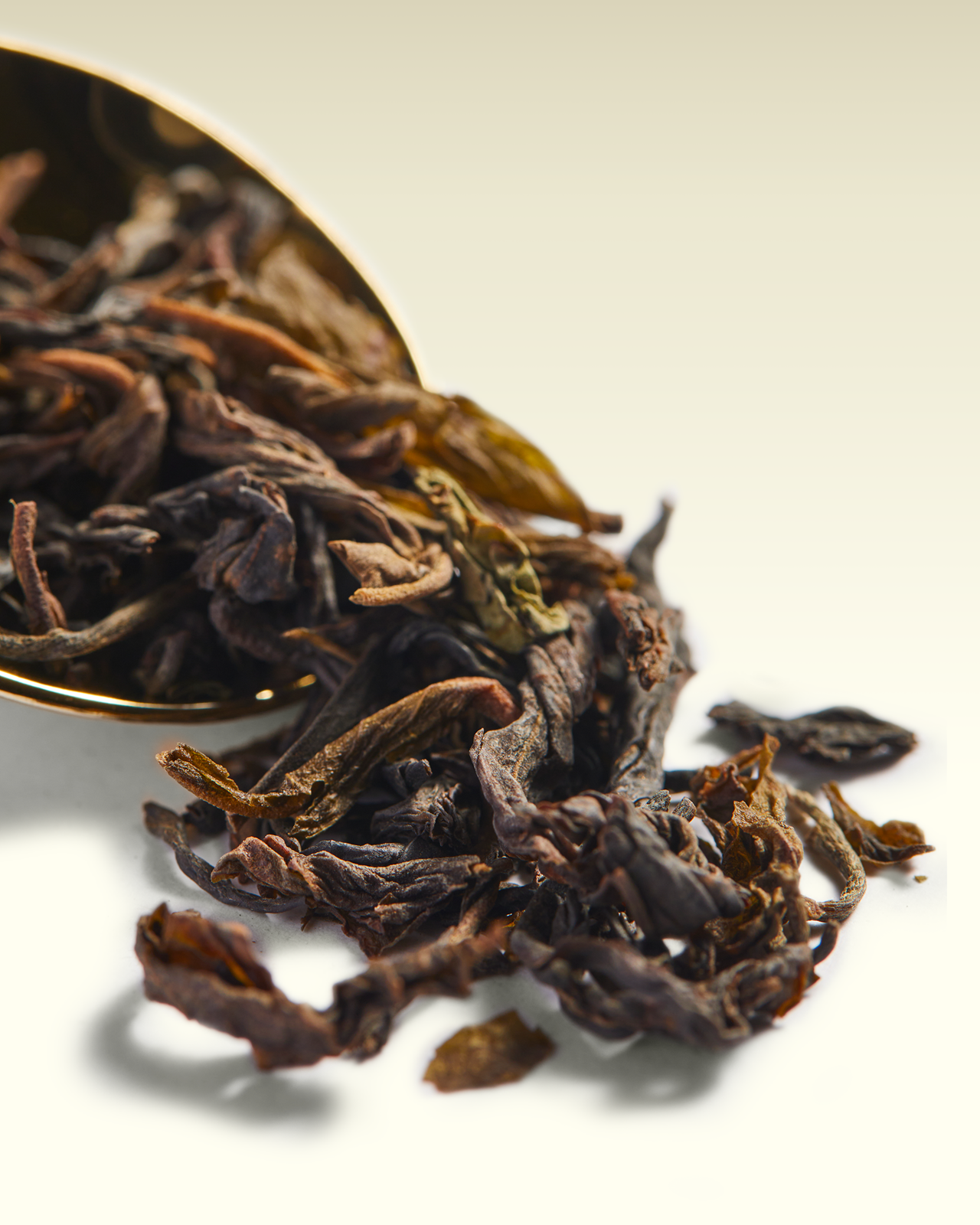 Sapitwa Cloud Tea | TWG Tea