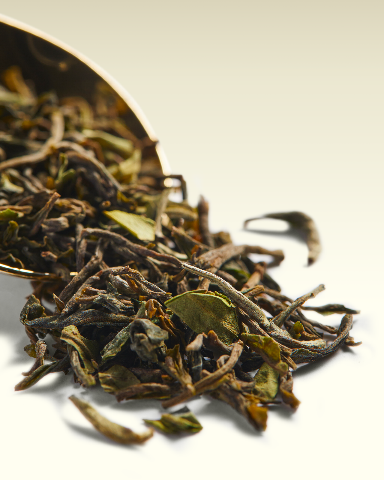 Jungpana FTGFOP1 | TWG Tea