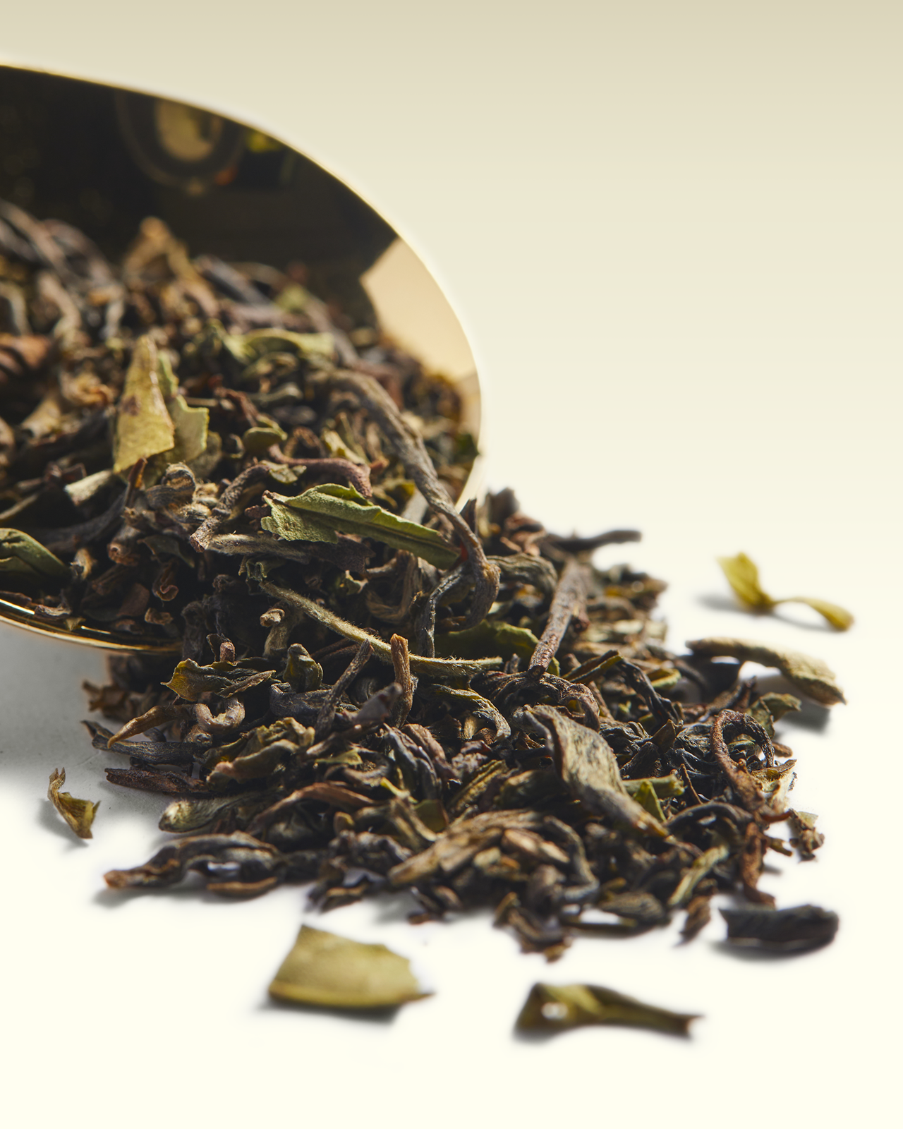 Secret of Kashmir Tea | TWG Tea