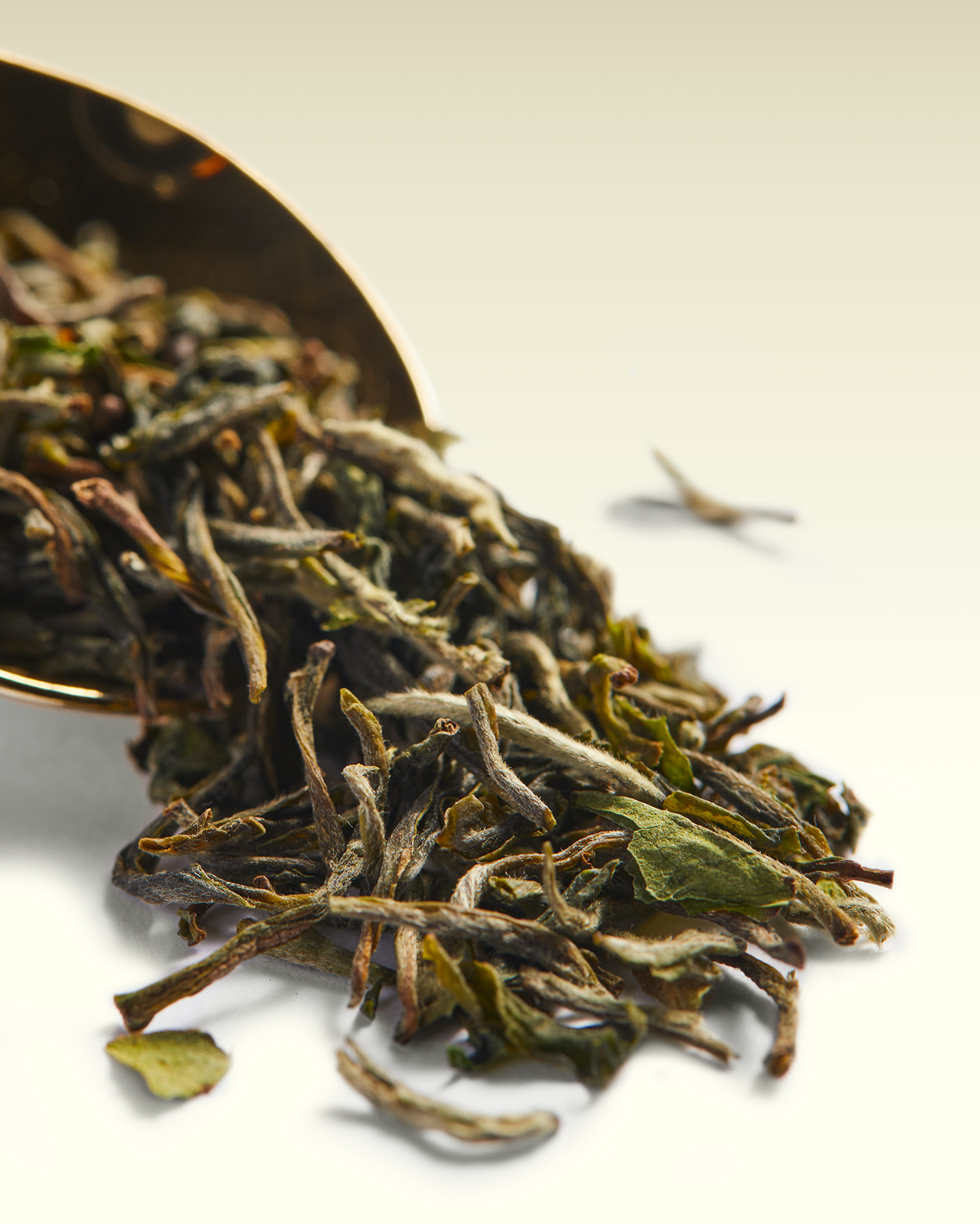 Puttabong SFTGFOP1 | TWG Tea