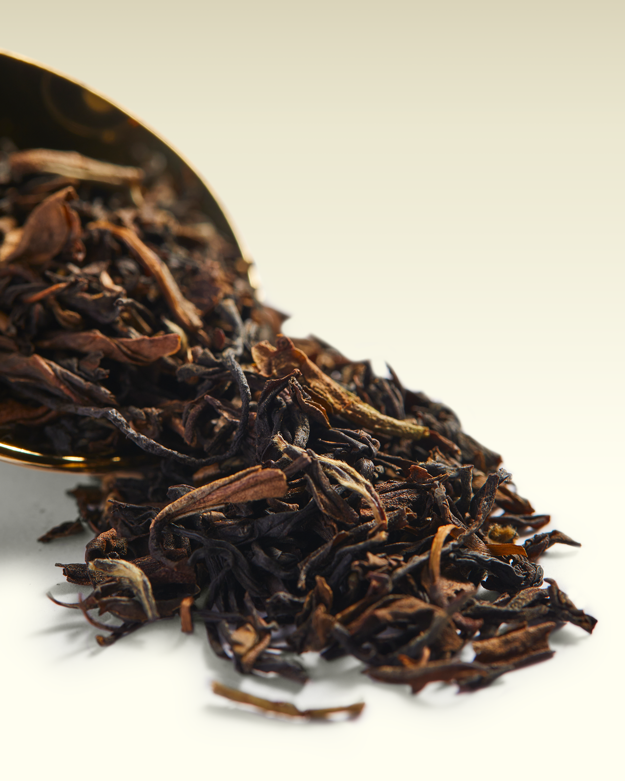 Jungpana FTGFOP1 | TWG Tea