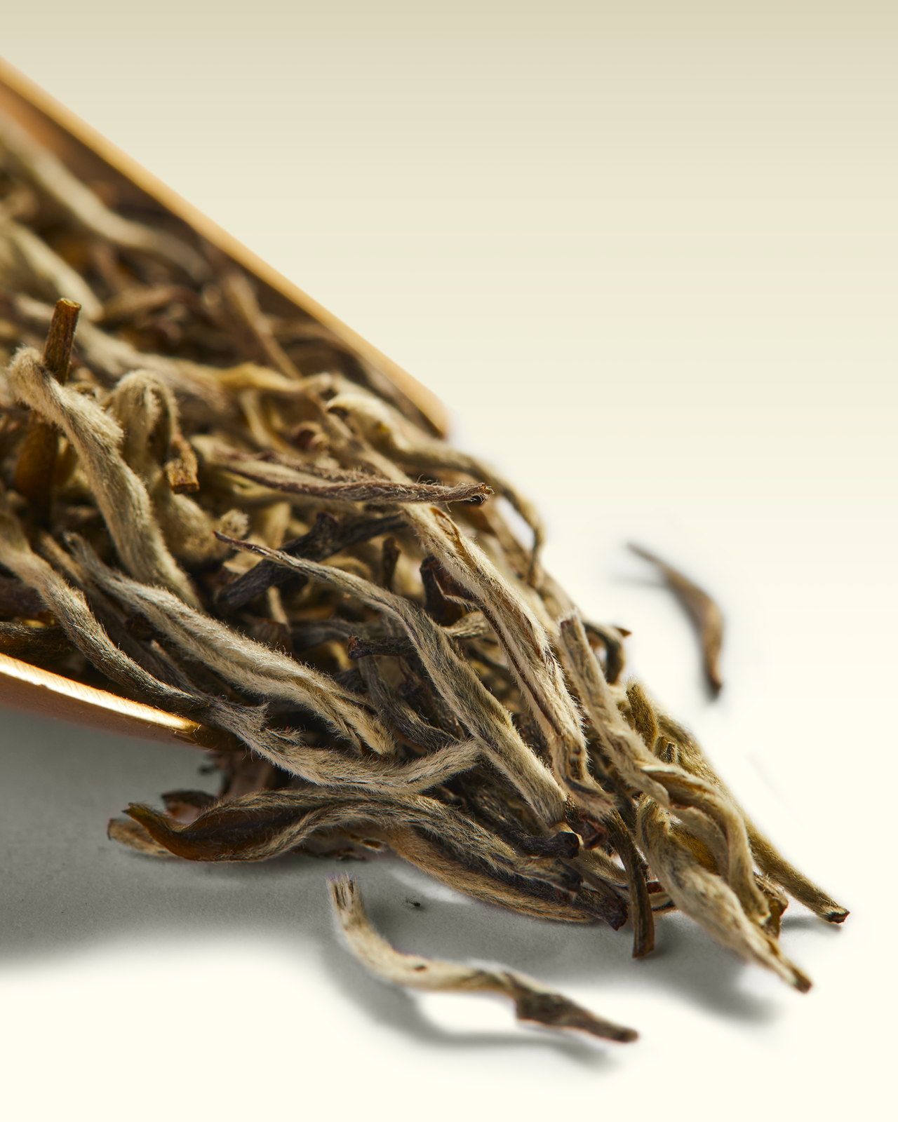 White Darjeeling | TWG Tea