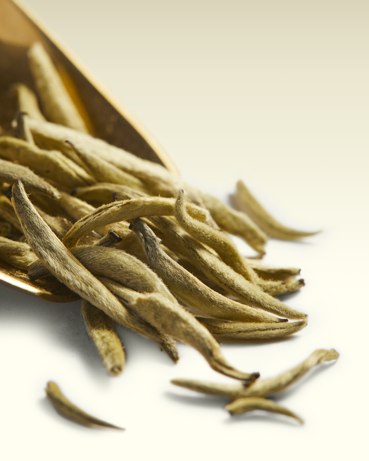 White Earl Grey | TWG Tea