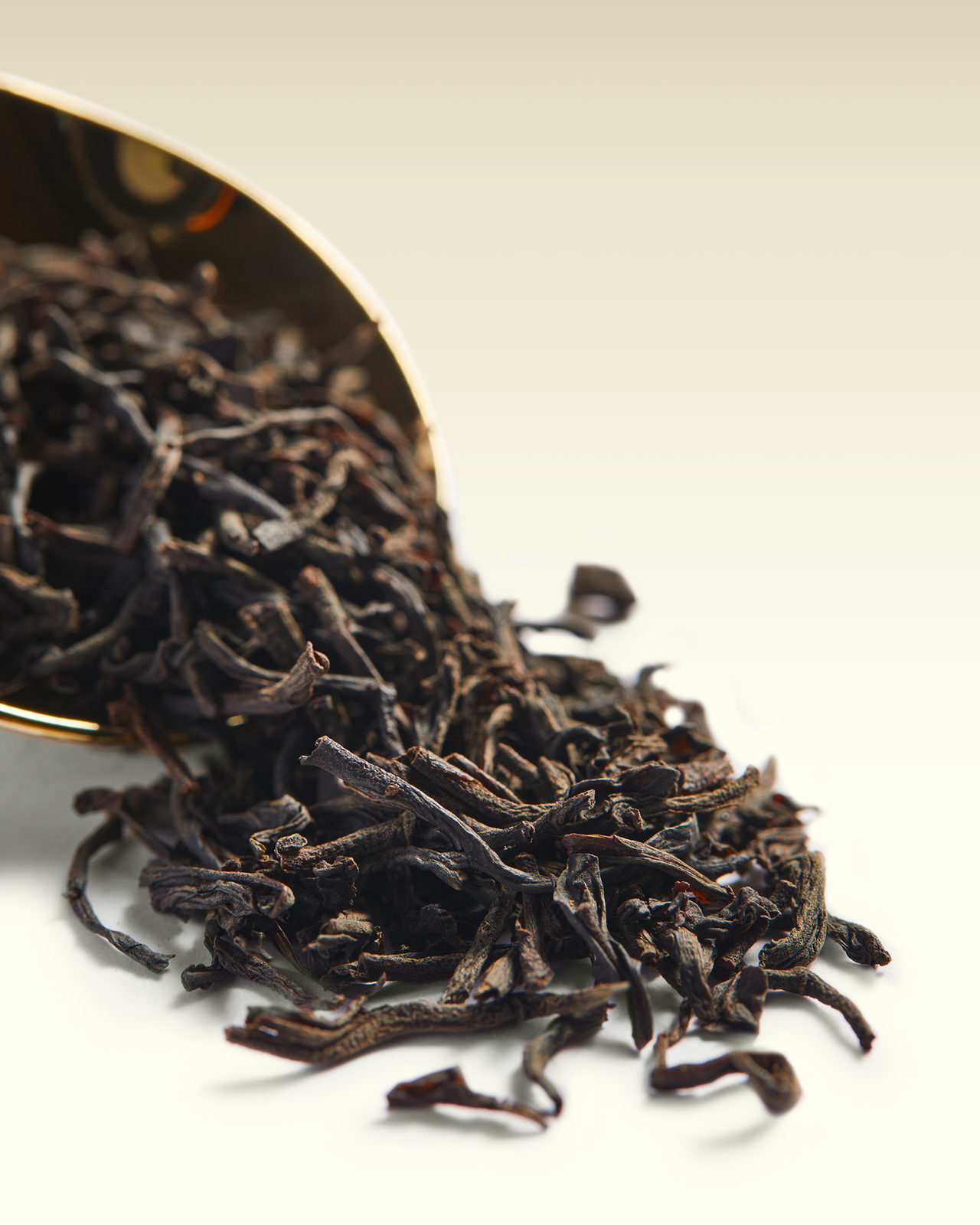 Dimbula OP | TWG Tea