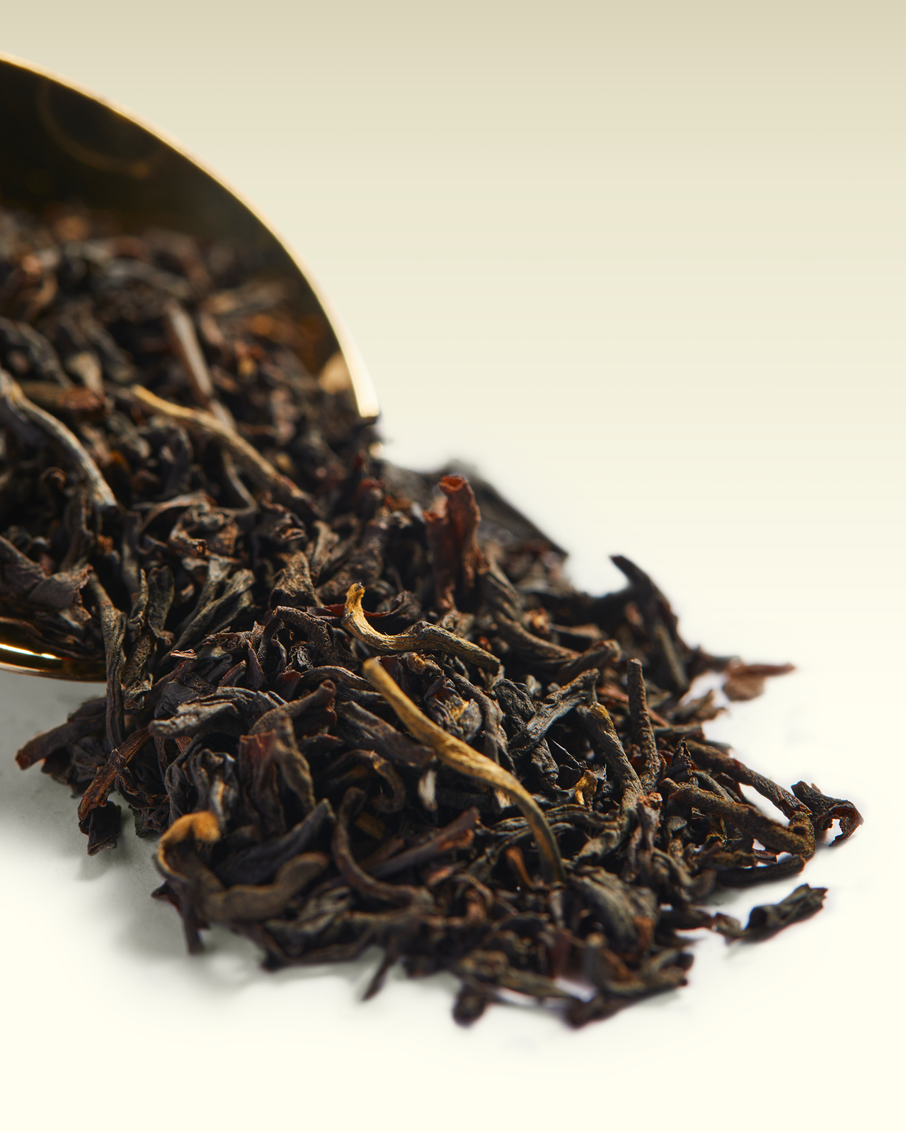 Smoky Russian Tea | TWG Tea