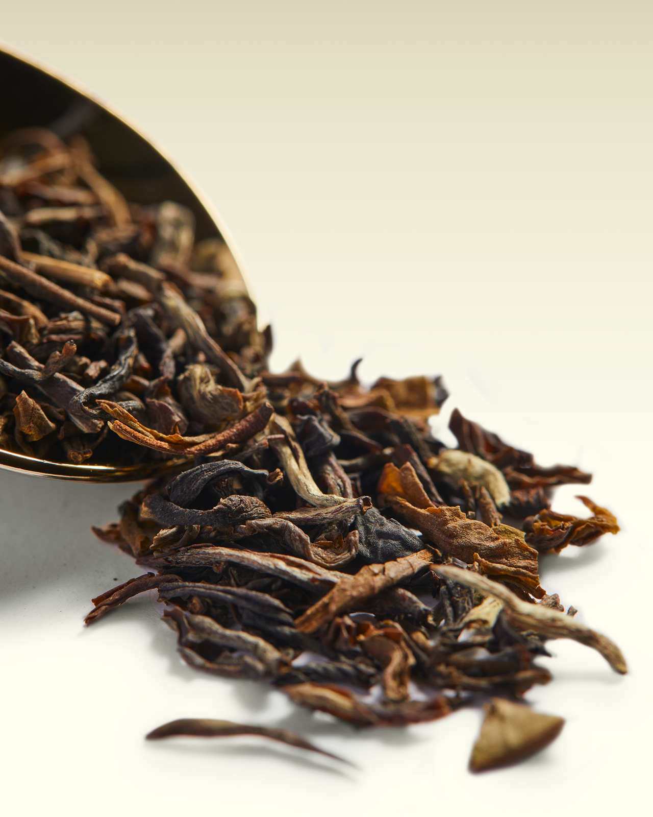 Spirit of India Tea | TWG Tea