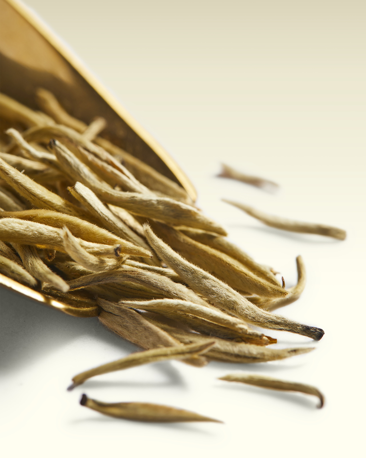 White Night Jasmine Tea | TWG Tea