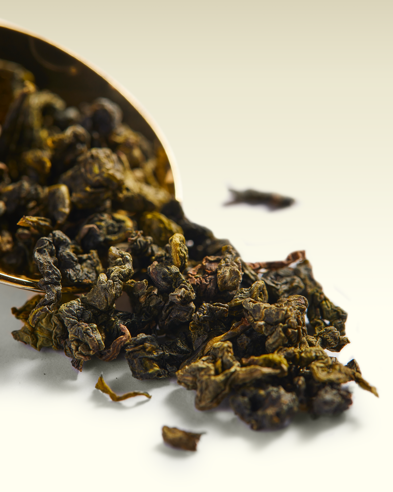 Jasmine Oolong | TWG Tea
