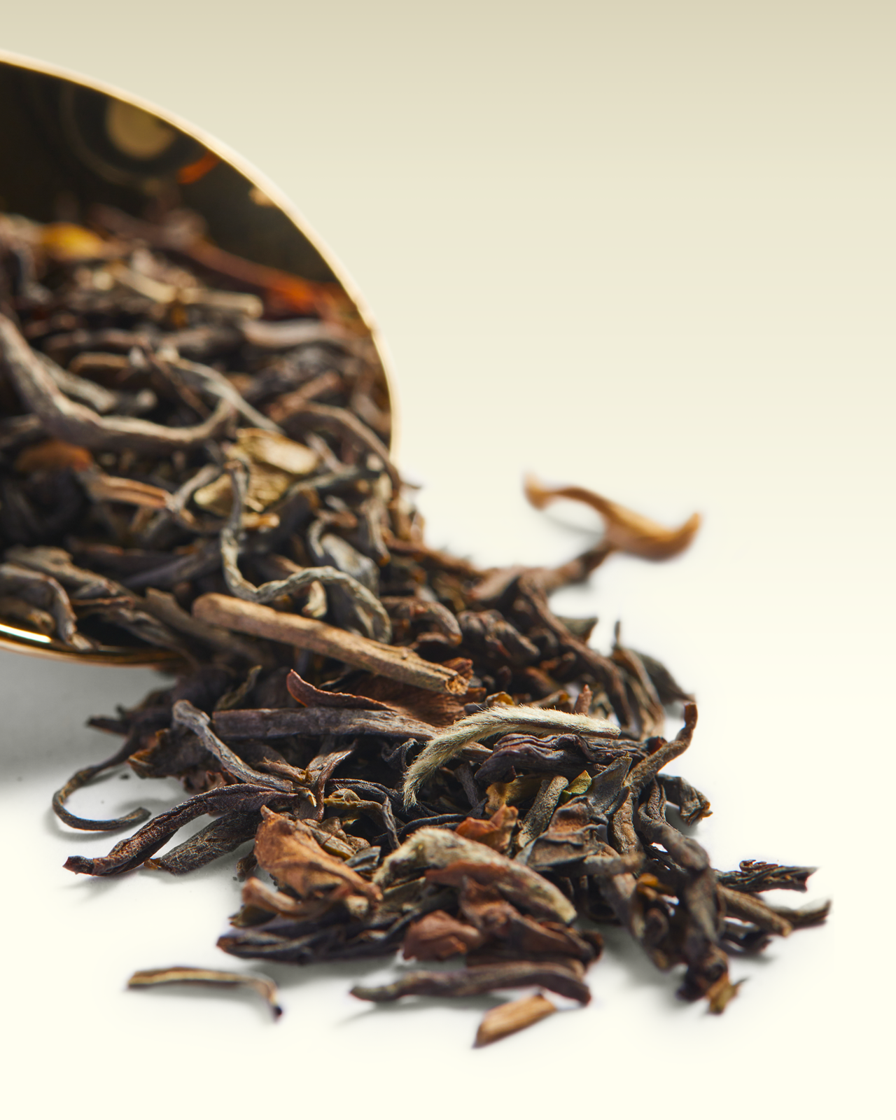 Bodhi Dharma Tea | TWG Tea