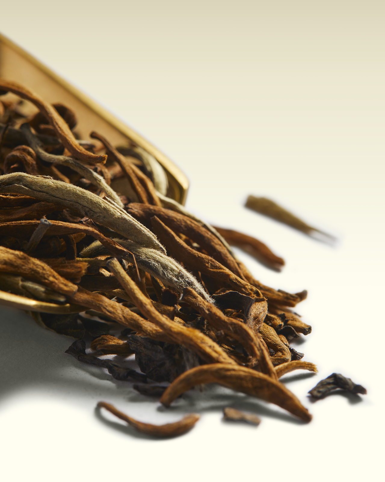 Collector's Tee | TWG Tea