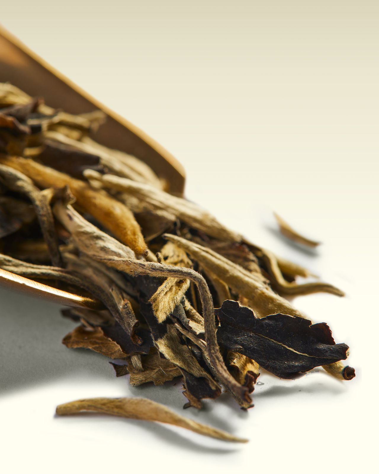 Tè Snow Needles | TWG Tea