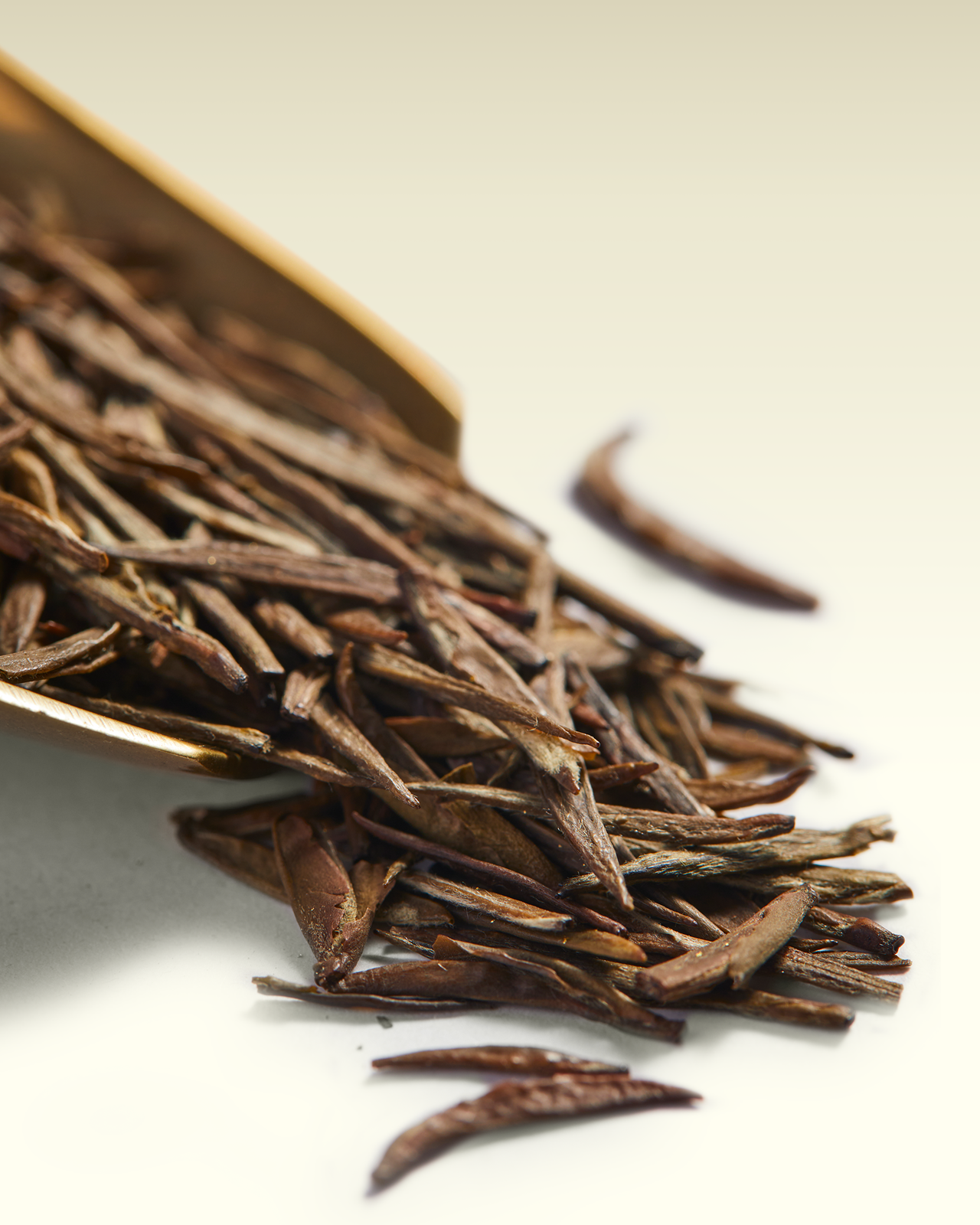 Bourgeons de thé jaune doré | TWG Tea