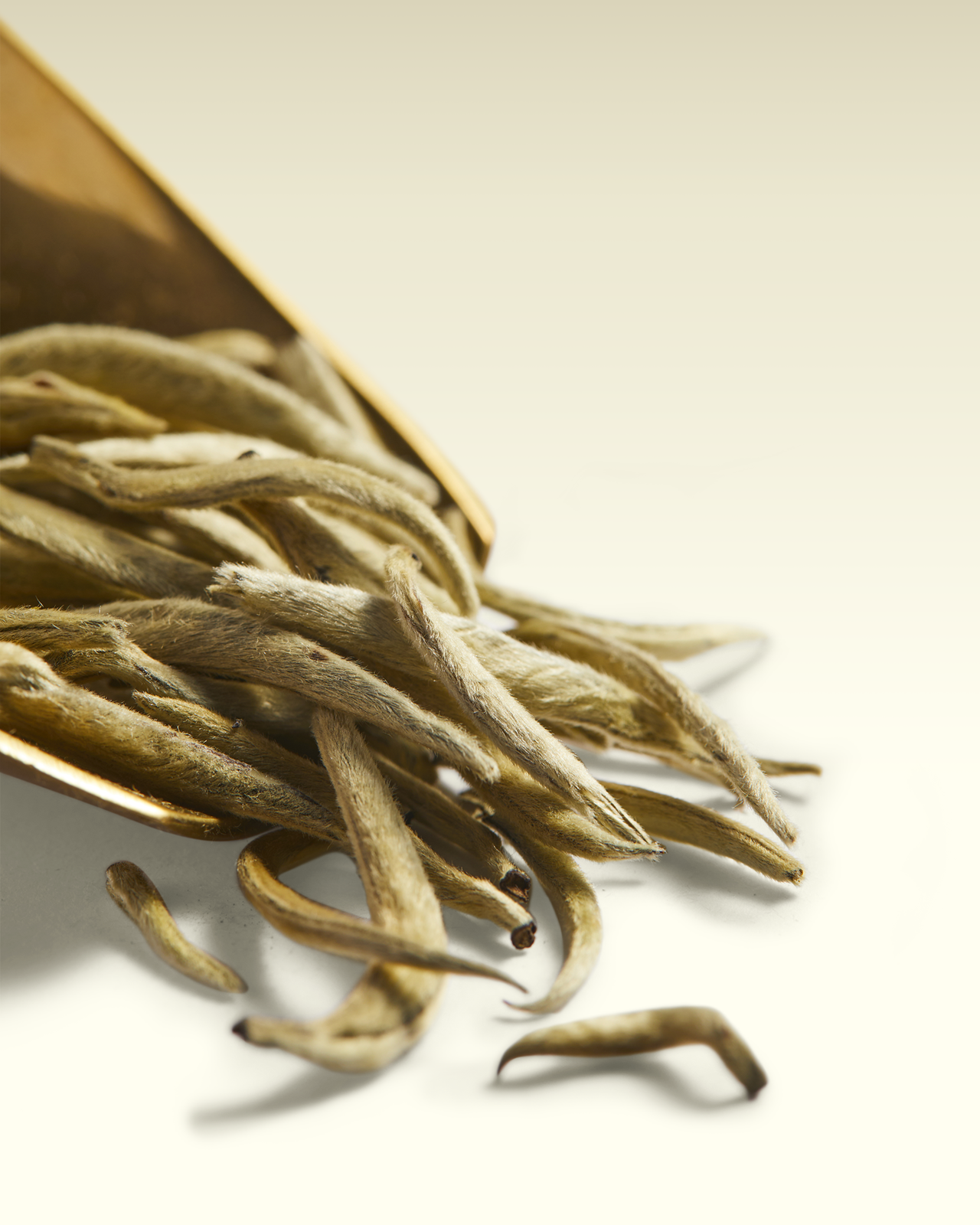 Yin Zhen | TWG Tea
