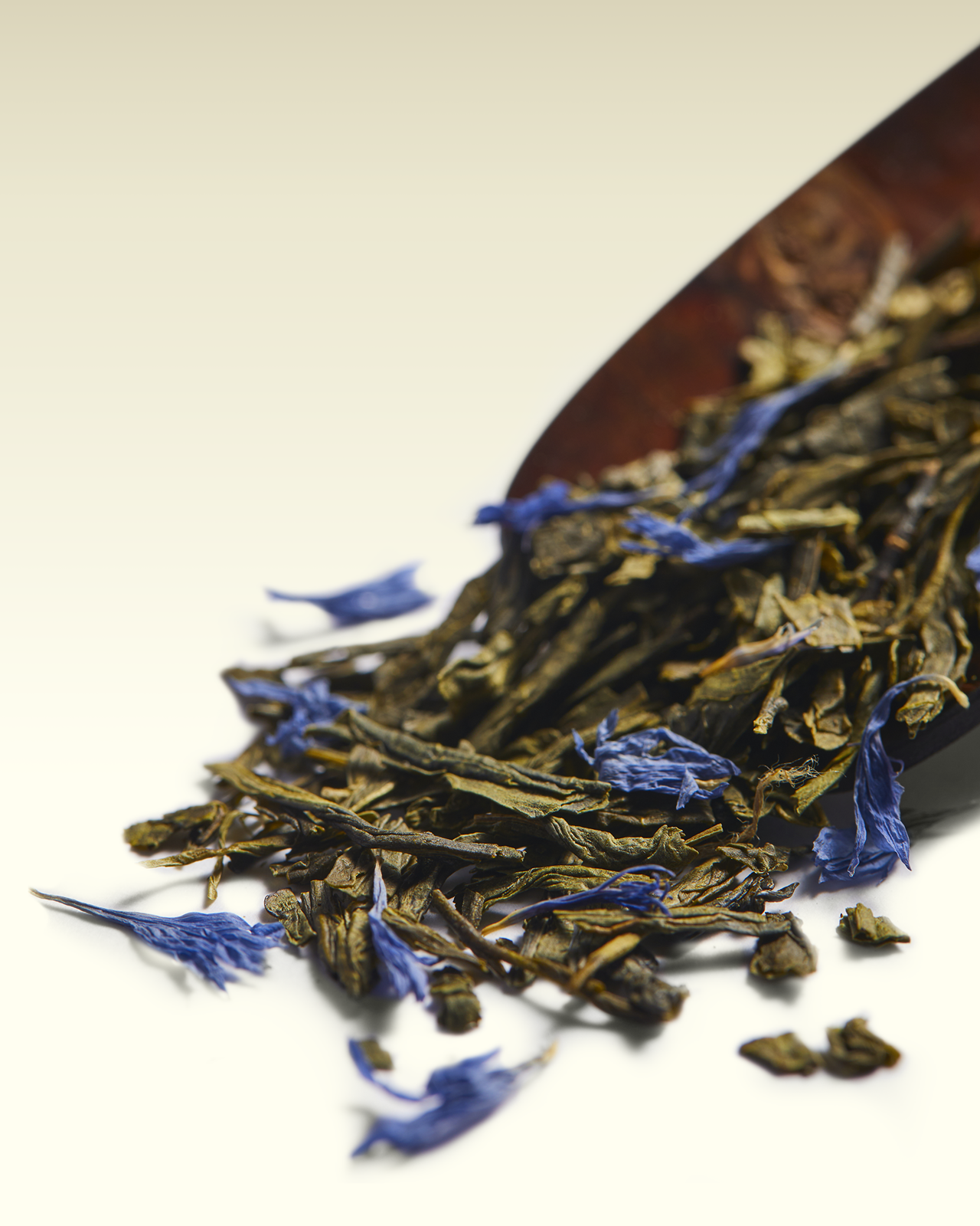 Thé 1837 Green | TWG Tea