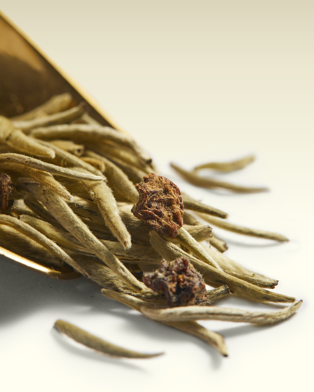 Tè White Immortal | TWG Tea