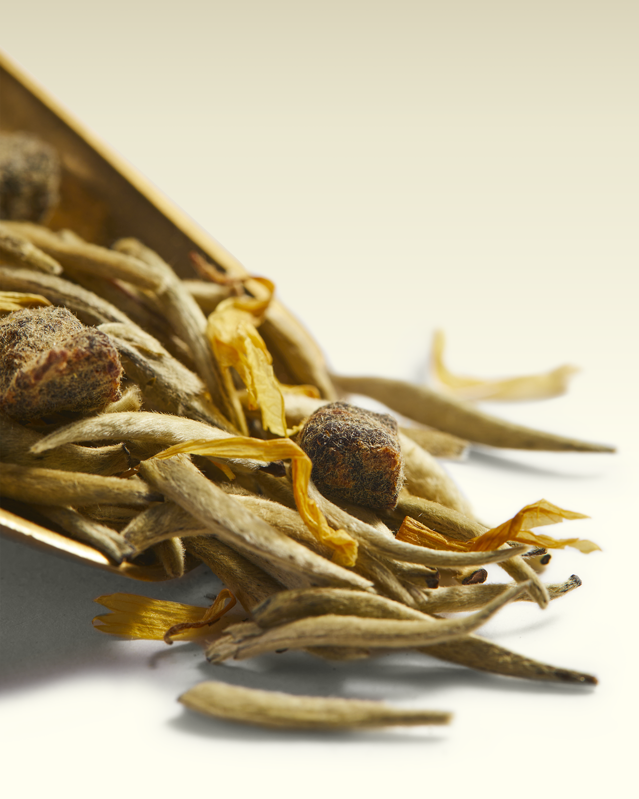 White Secret Tea | TWG Tea