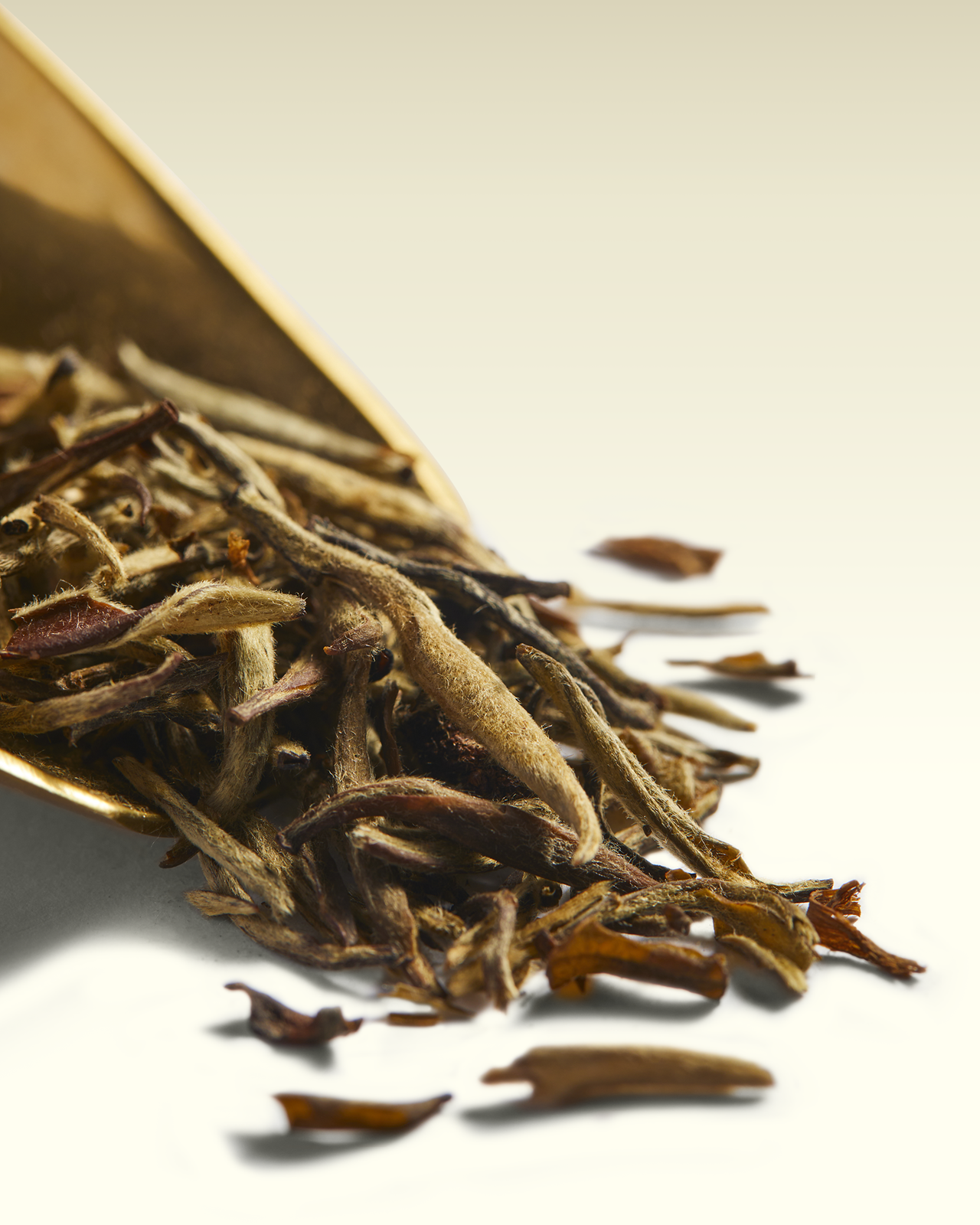 White Fortune Tea | TWG Tea