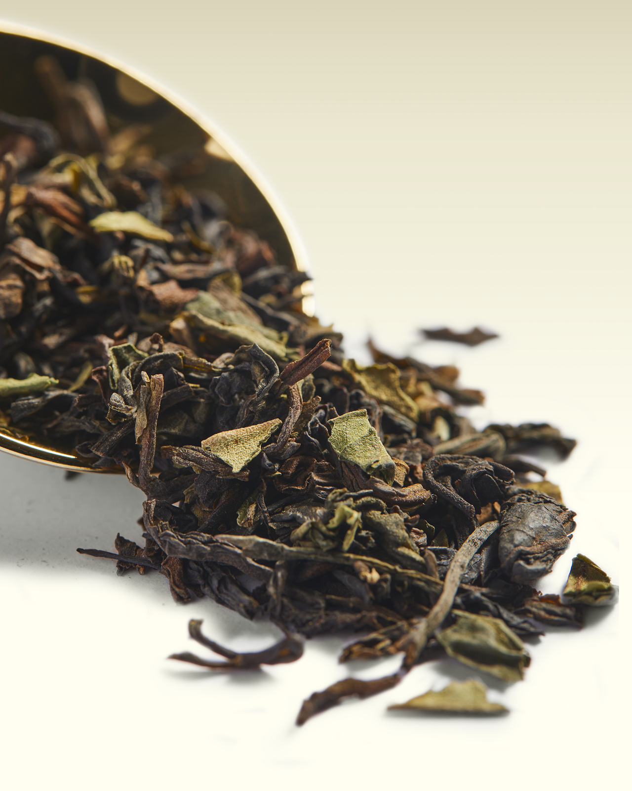 Maharajah Darjeeling | TWG Tea