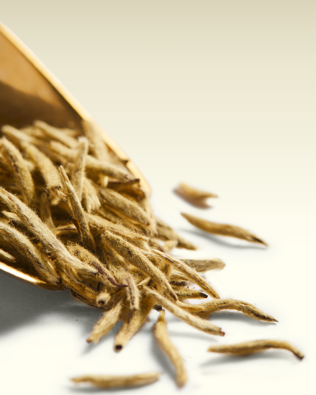 White Palace Tea | TWG Tea