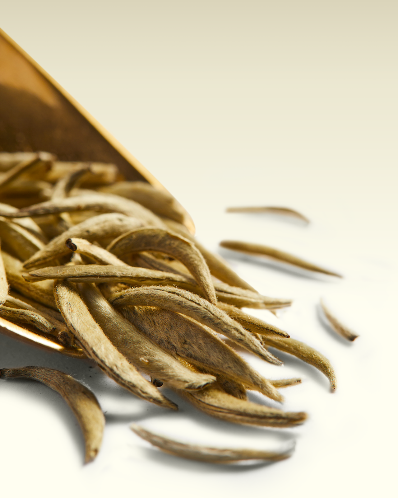 White Miracle Tea | TWG Tea