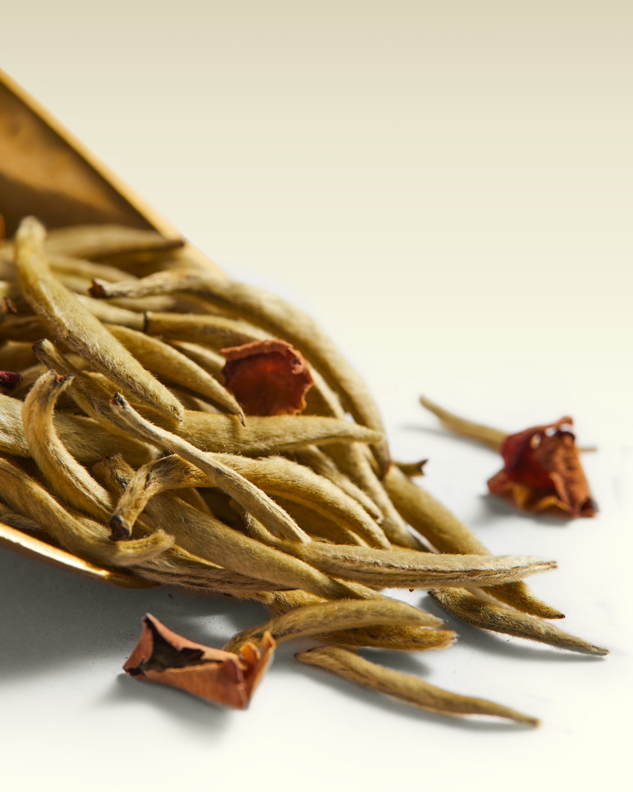 Tè White Spring | TWG Tea