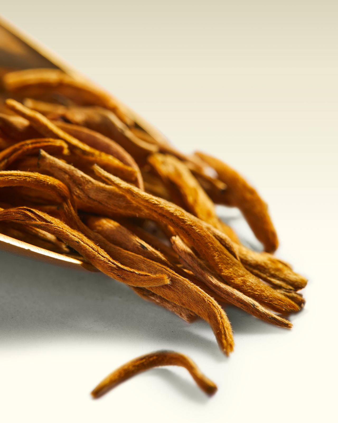 Yunnan Golden Needles | TWG Tea