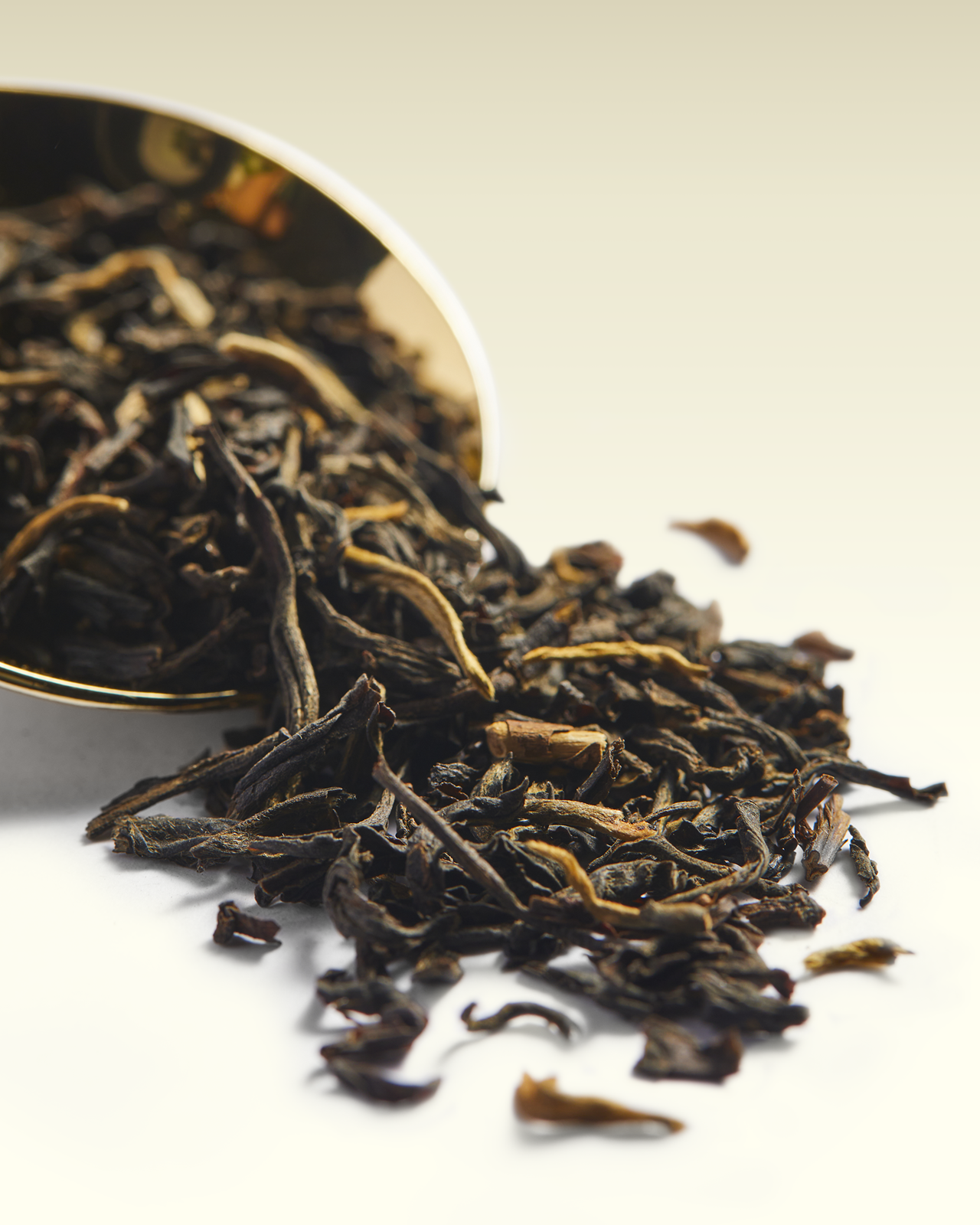 Yunnan FOP | TWG Tea