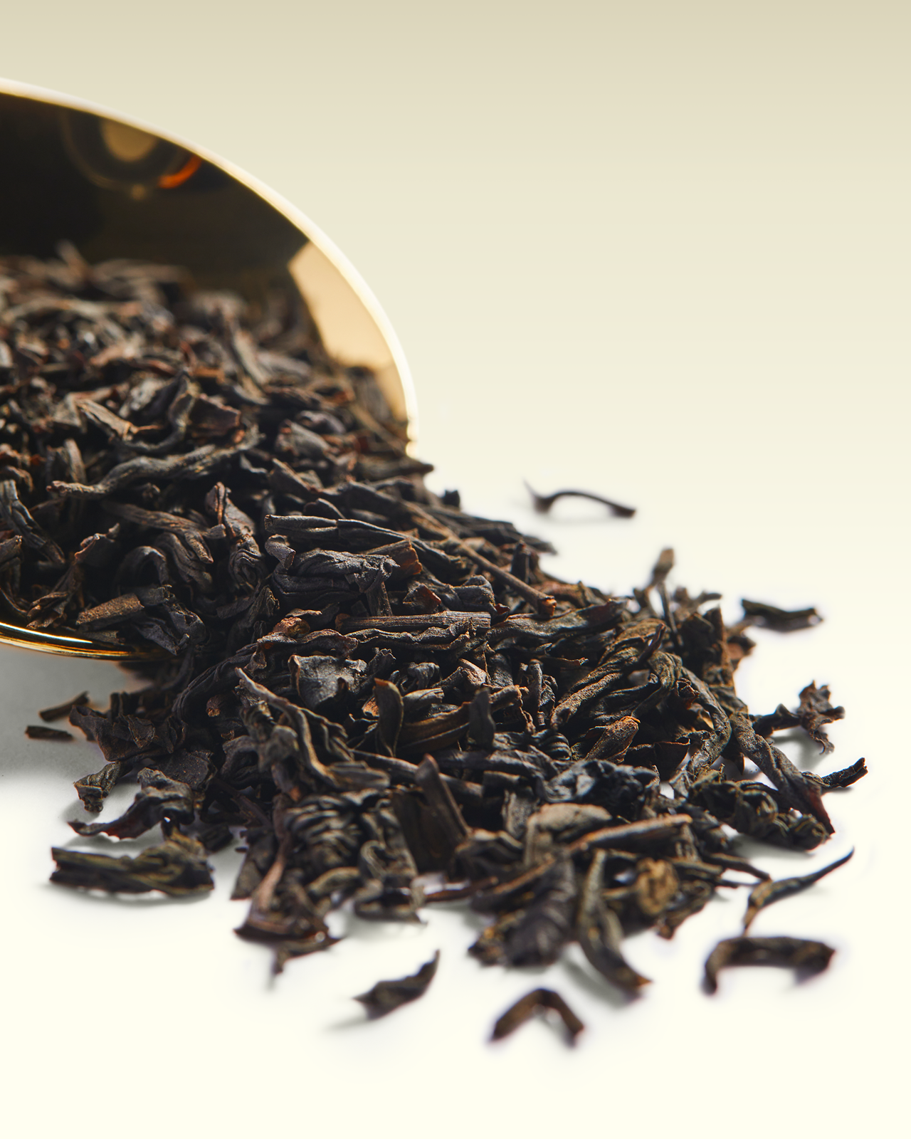 Imperial Lapsang Souchong | TWG Tea
