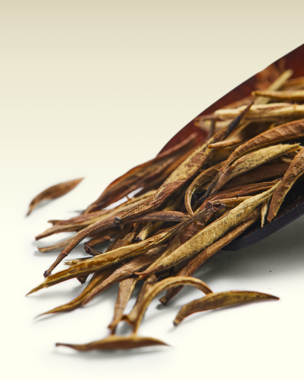 Green of Fujian Tee | TWG Tea