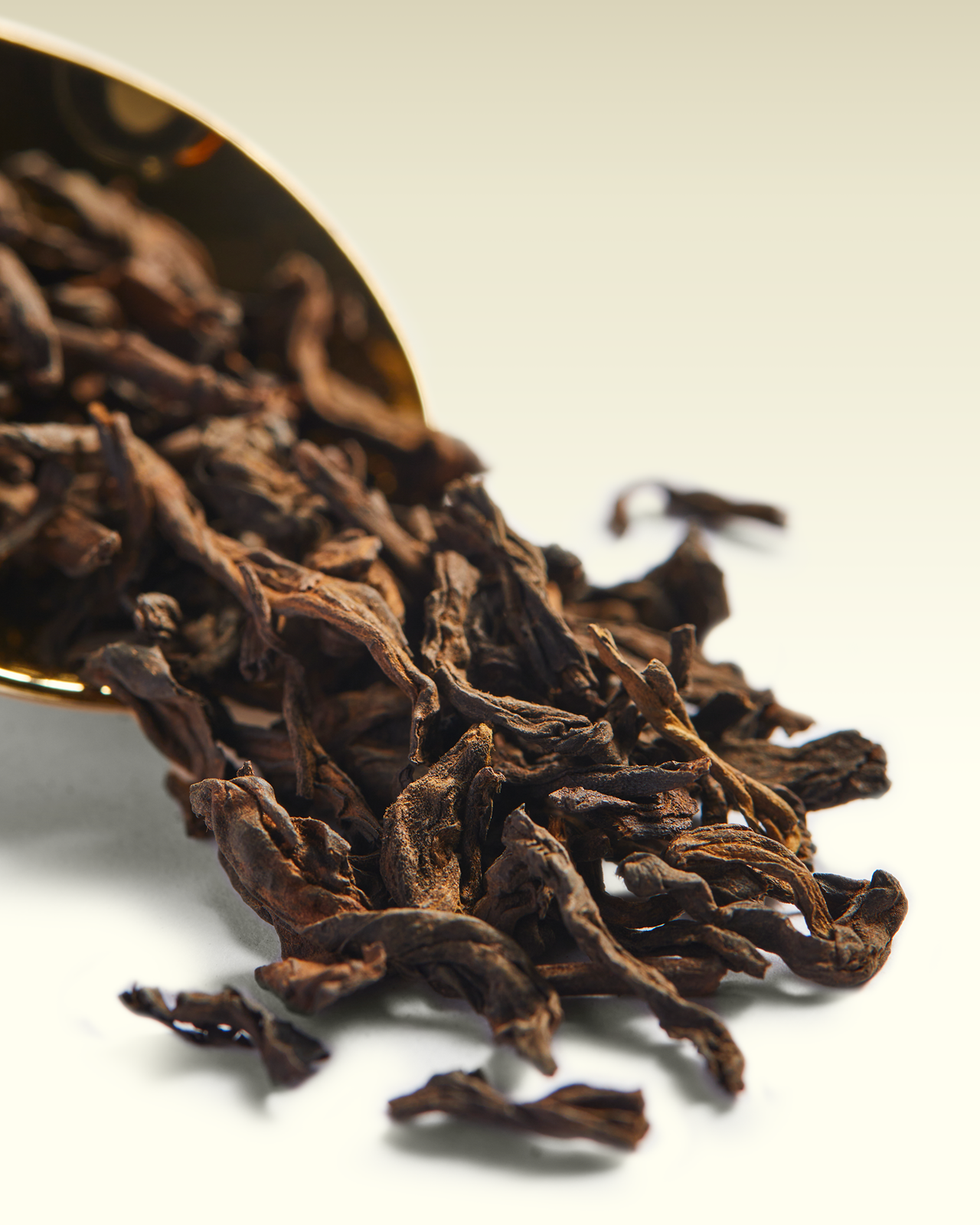 Pu-Erh 1993 | TWG Tea