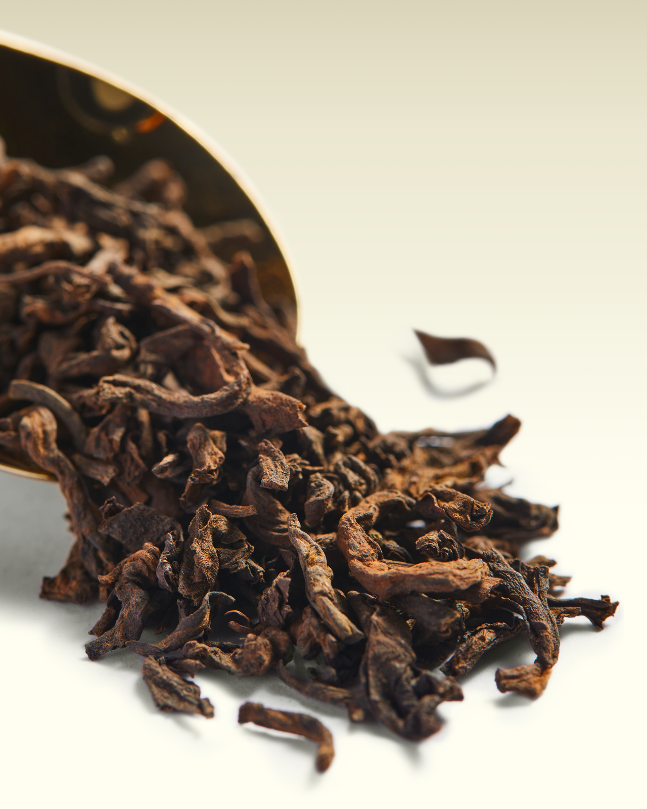 Pu-Erh 1998 | TWG Tea