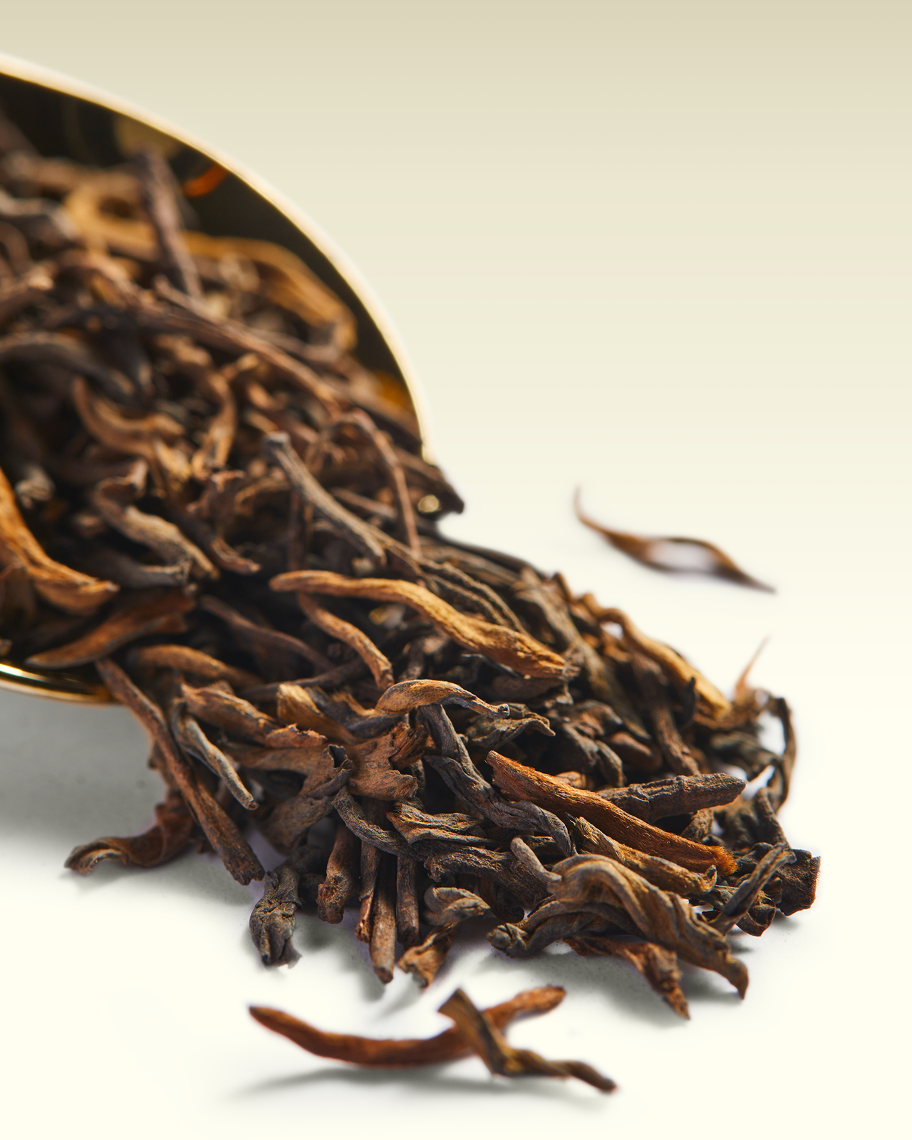 Pu-Erh 2000 | TWG Tea