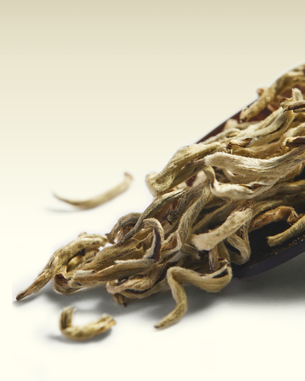 Snow of Yunnan Tea | TWG Tea
