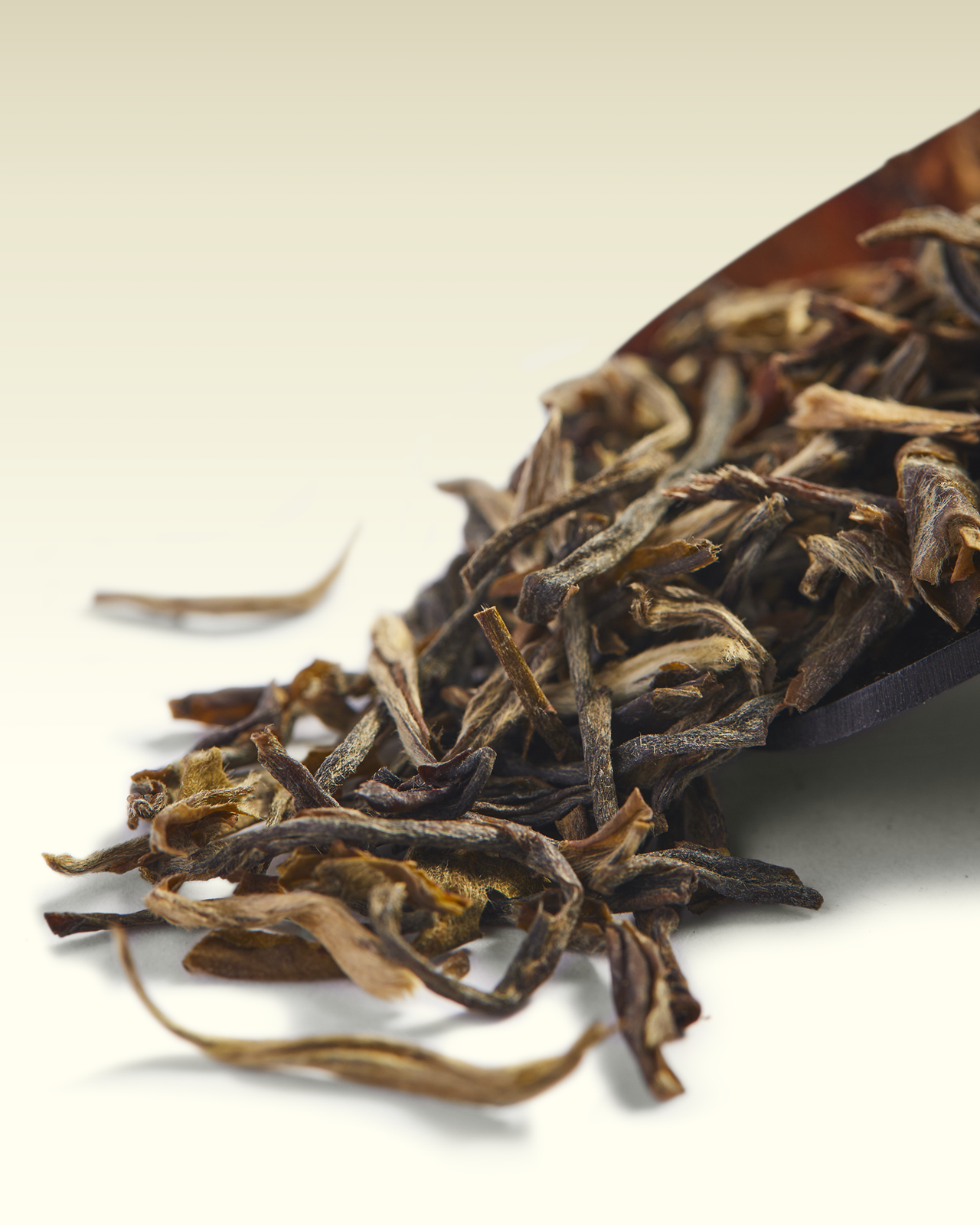 Snow of Fujian Tea | TWG Tea