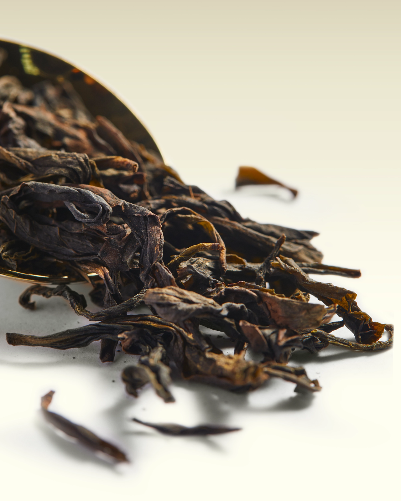 Secret of Wu Yi Tea | TWG Tea