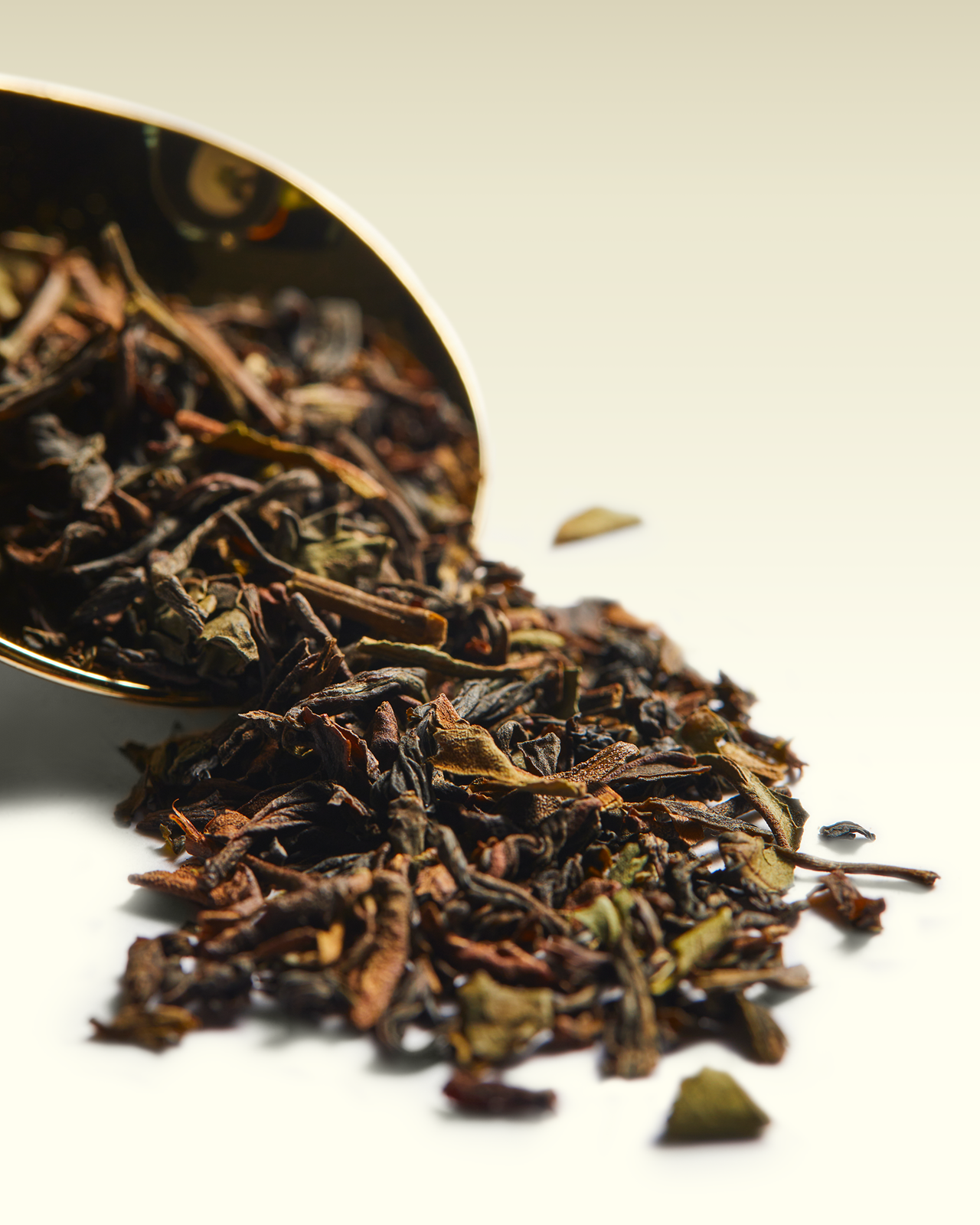 Royal Darjeeling FTGFOP1 | TWG Tea