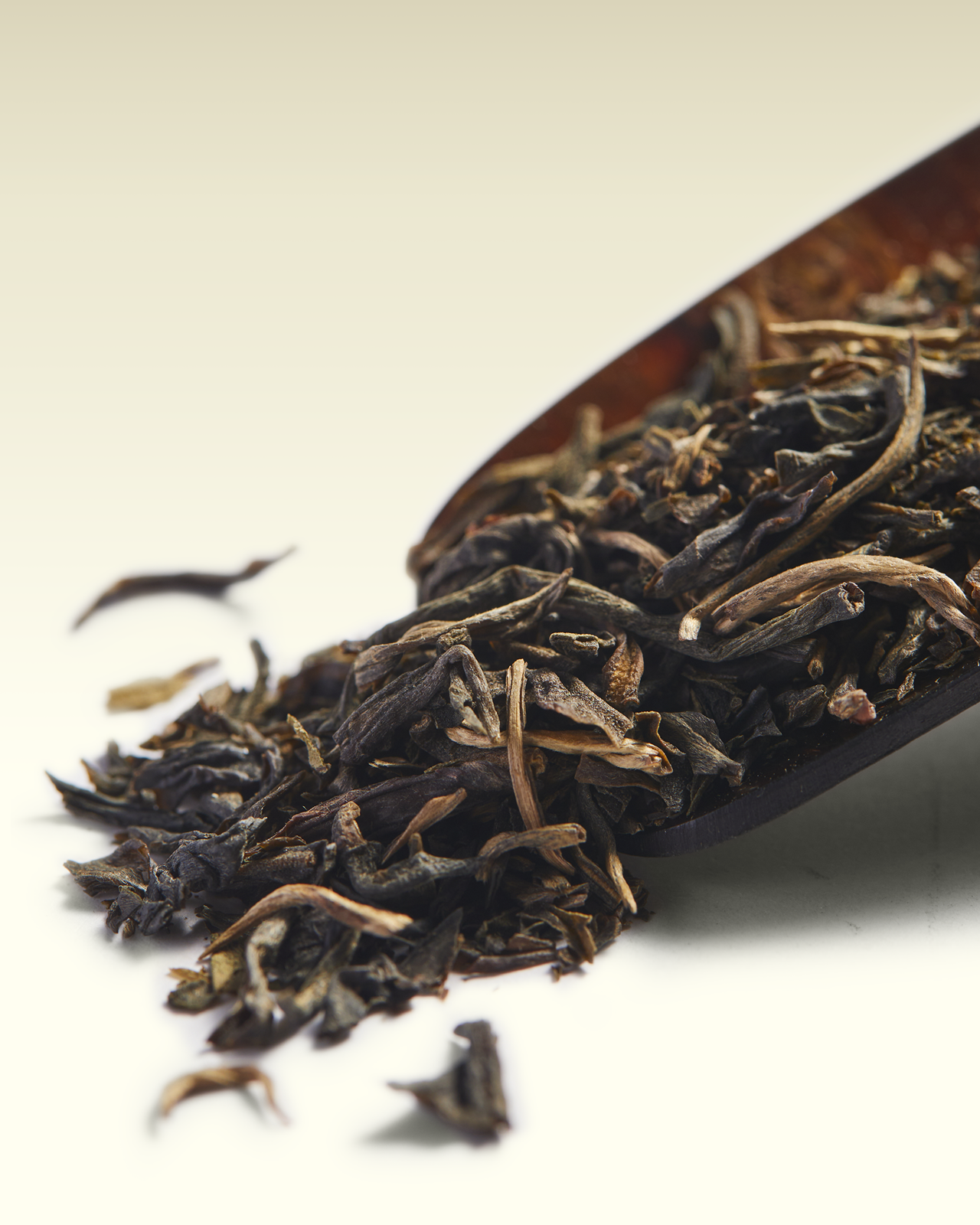 Champasak Rain Tee | TWG Tea