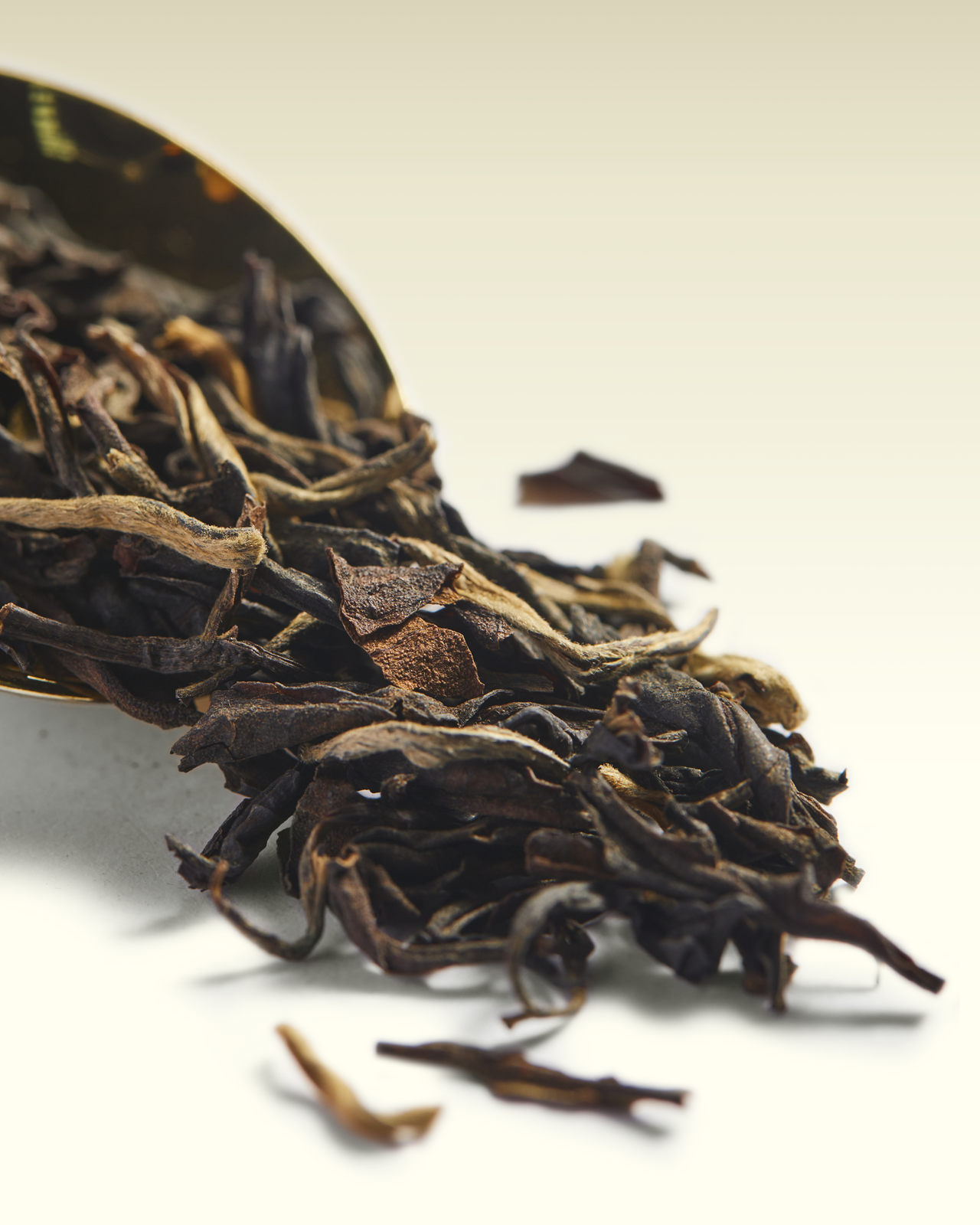 Bolaven Plateau Tea | TWG Tea