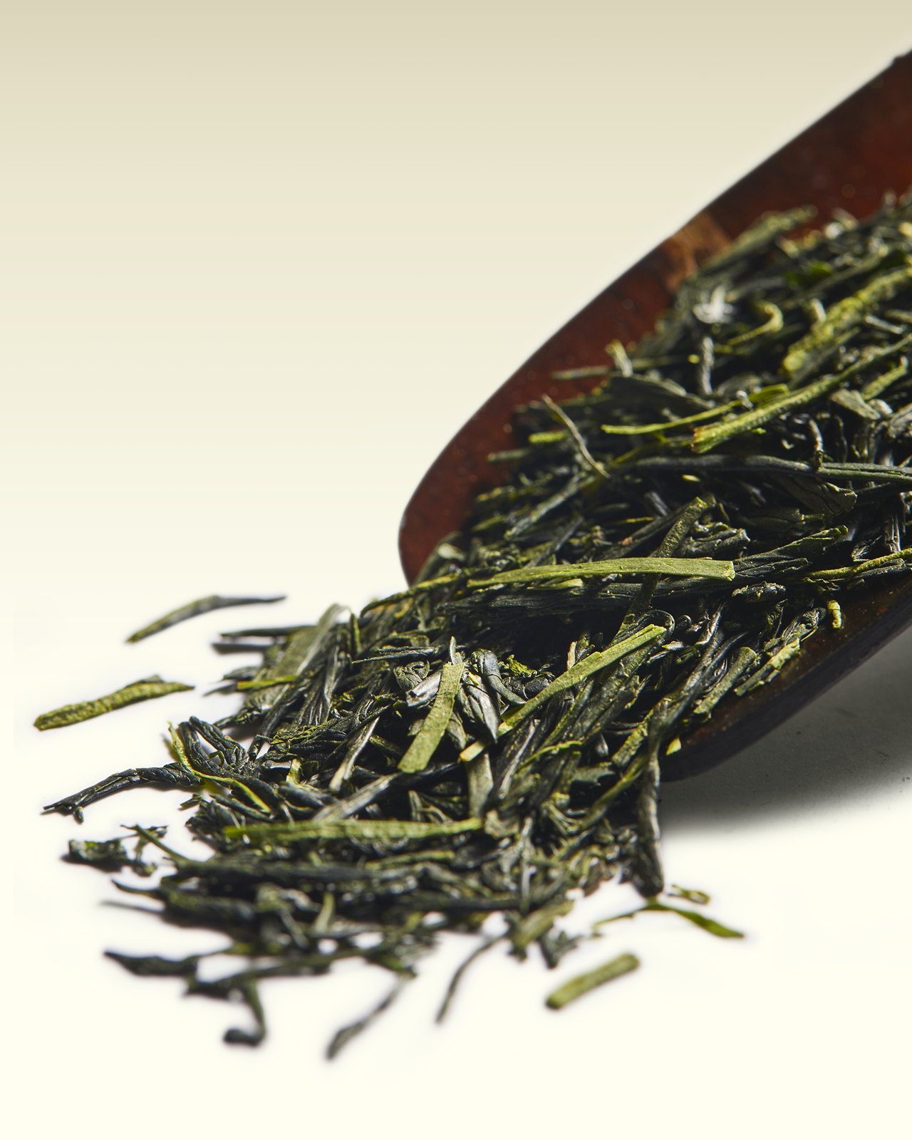 Gyokuro Samurai | TWG Tea
