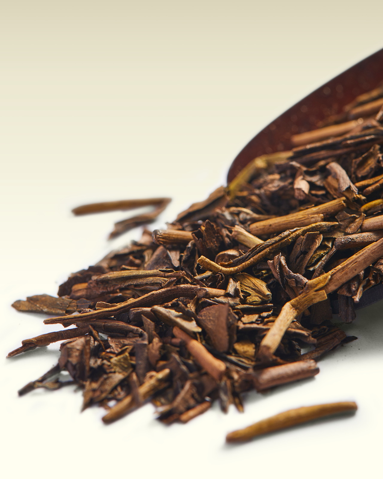 Houjicha | TWG Tea