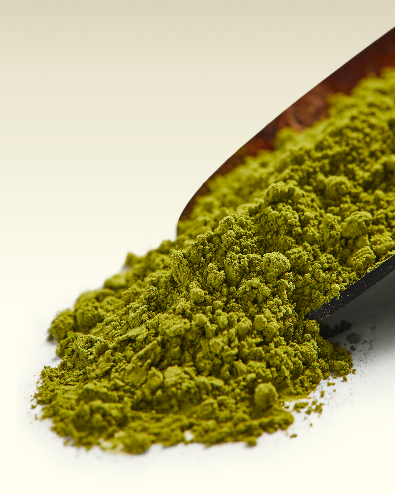 Matcha | TWG Tea