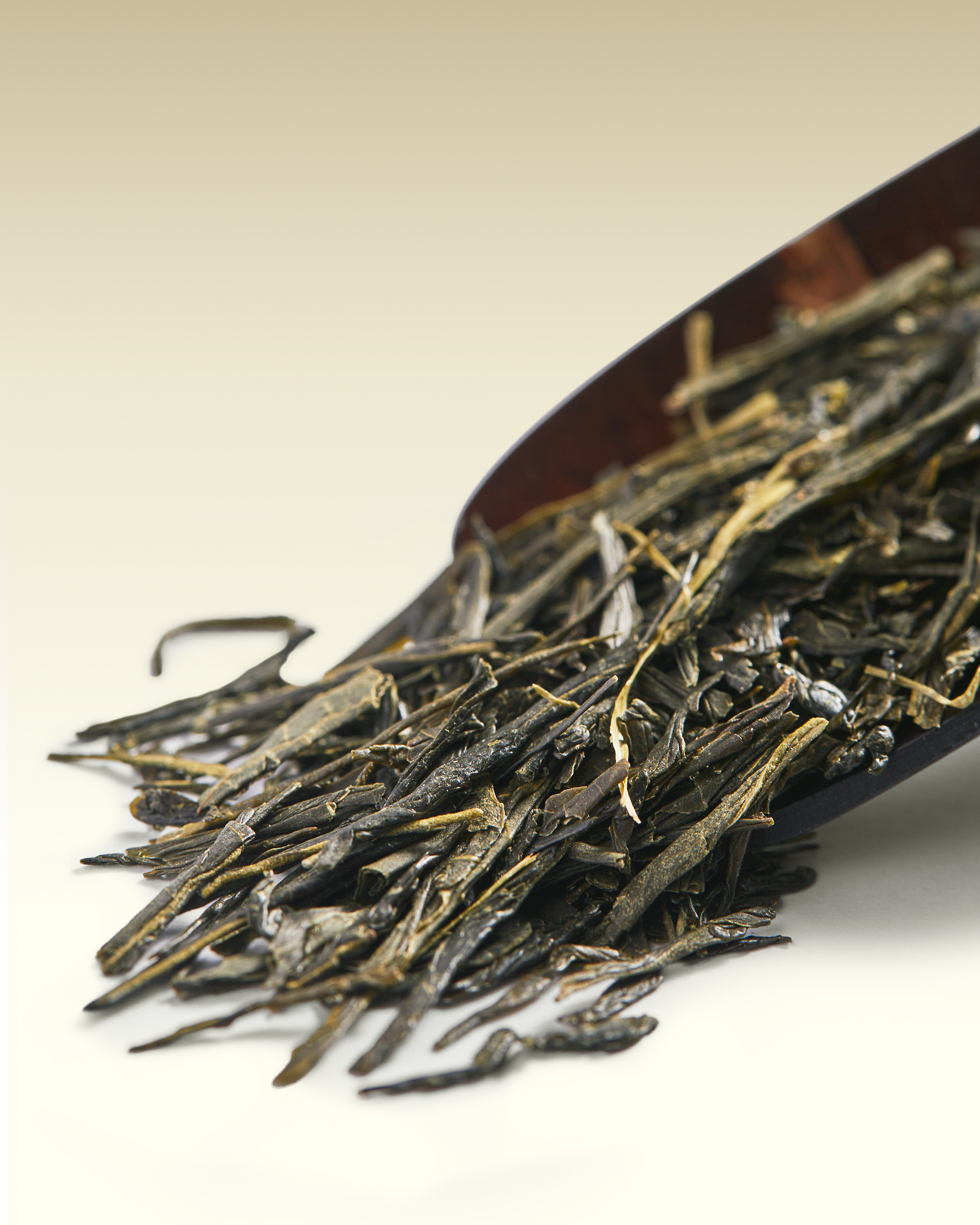 Sencha Prestige | TWG Tea