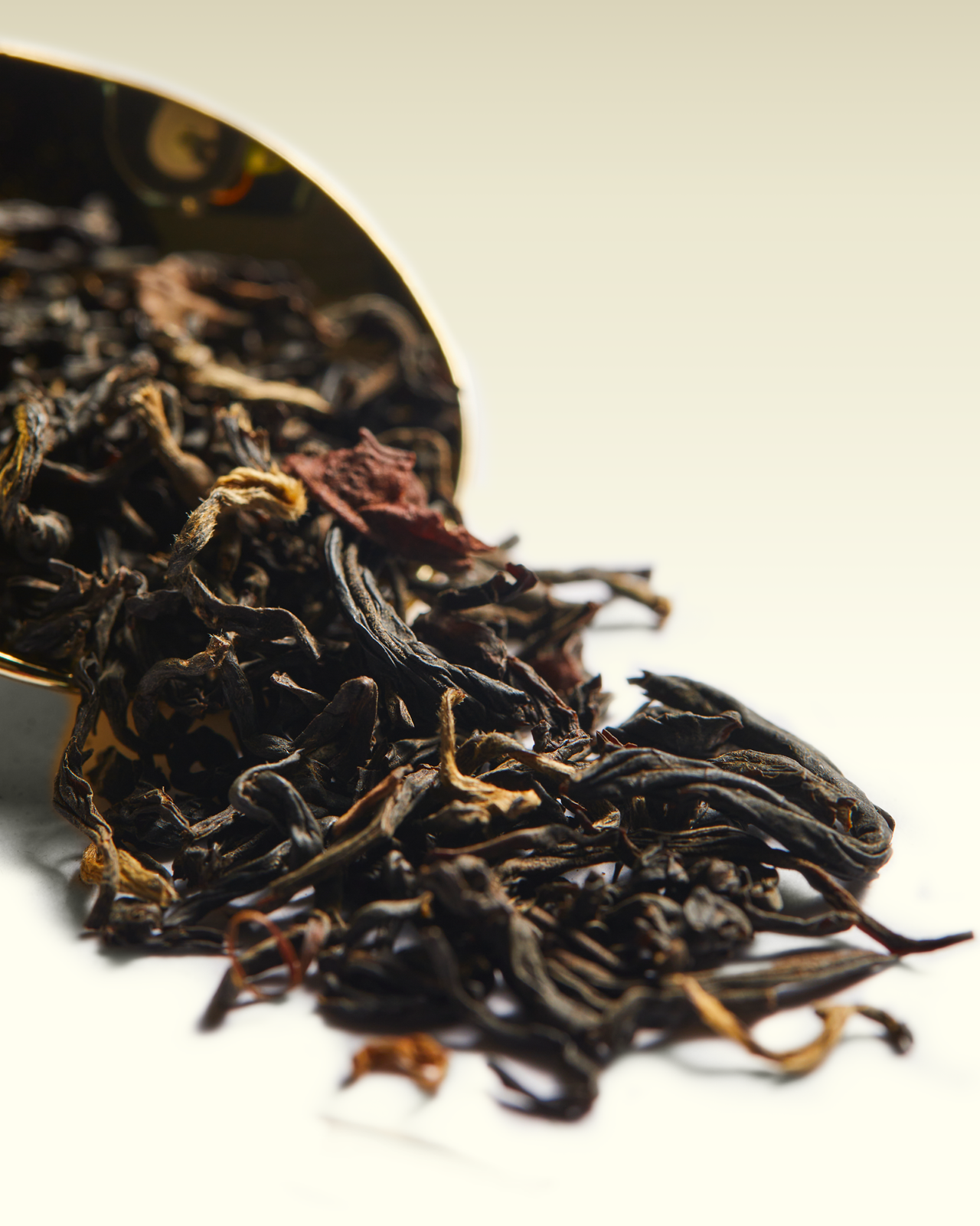 Colombia Morning Mist Tea | TWG Tea